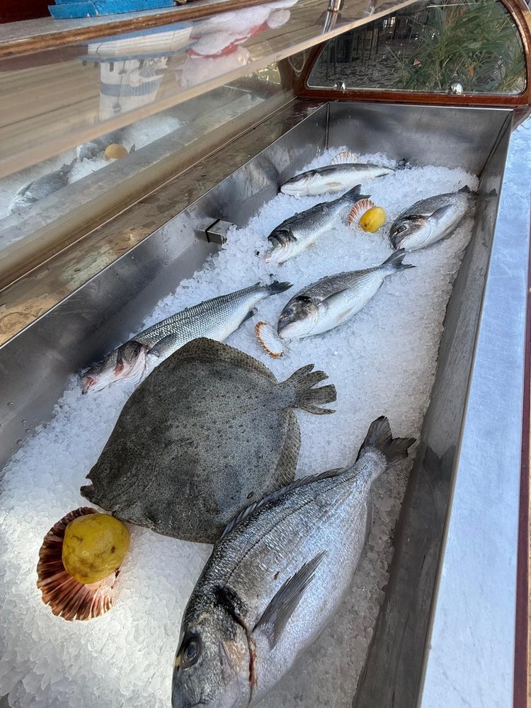 Fresh fish of the day on ice